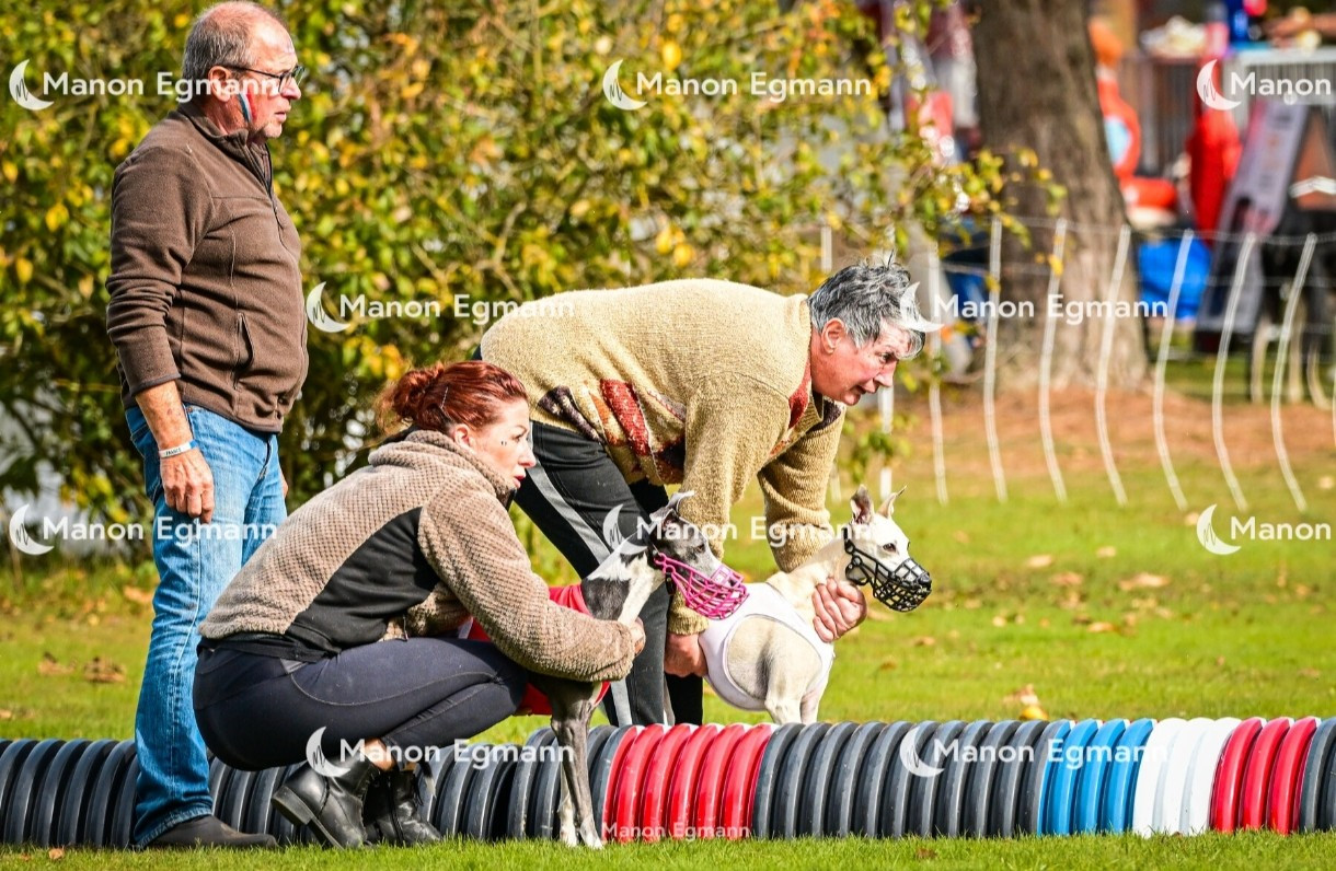 Championnat de France de PVL 2025 - ROUGÉ