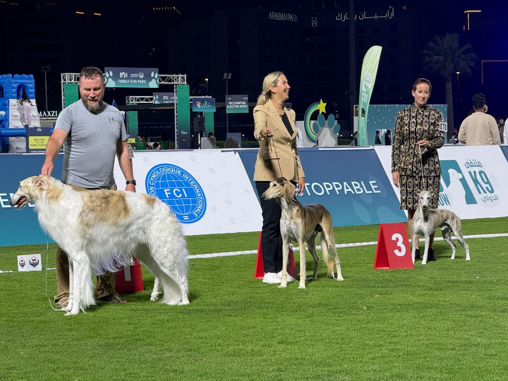 Dog Show to United Arab Emirat